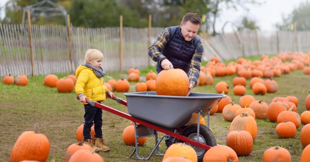 The Ultimate Guide to Pumpkin Picking in Long Island